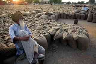 An Indian farmer relaxes at a grain market near Hamirgahr, Chandigarh (PEDRO UGARTE/AFP/Getty Images)