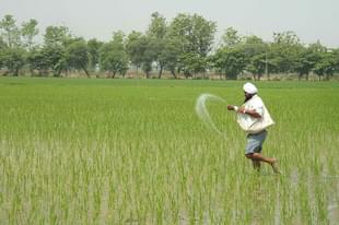 Agricultural reforms need of the hour. Photo credit: <a href="http://www.gettyimages.in/search/photographer?photographer=NARINDER+NANU&agreements=ed%3A8601&agreementtypes=ed&autocorrect=none&editorialproducts=news&excludenudity=true&family=editorial&page=1&phrase=451891050&sort=best">NARINDER NANU</a>/GettyImages