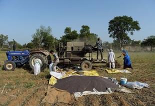 Indian farmers process mustard seeds in Alwar district of the western state of Rajasthan. (SAJJAD HUSSAIN/AFP/Getty Images)