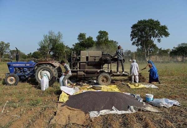 Indian farmers process mustard seeds in Alwar district of the western state of Rajasthan. (SAJJAD HUSSAIN/AFP/Getty Images)