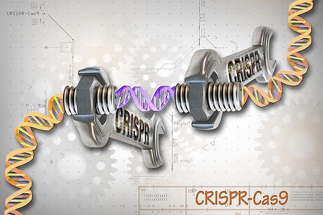 CRISPR-Cas9 is a customisable tool that lets scientists cut and insert small pieces of DNA at precise areas along a DNA strand. (Ernesto del Aguila III, NHGRI/Wikimedia Commons)