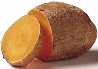 Soft, orange-fleshed variety of sweet potato (Wikimedia Commons)