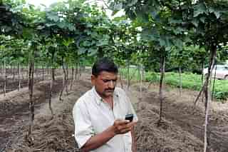 Indian grape and tomato farmer Sanjay Sathe placing a call
to a dedicated agri-call centre to check out the weather forecast, on his
vineyard in the village of Naitale in Nashik District. Photo credit: INDRANIL
MUKHERJEE/AFP/GettyImages &nbsp; &nbsp; &nbsp;