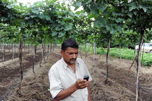 Indian grape and tomato farmer Sanjay Sathe placing a call
to a dedicated agri-call centre to check out the weather forecast, on his
vineyard in the village of Naitale in Nashik District. Photo credit: INDRANIL
MUKHERJEE/AFP/GettyImages 