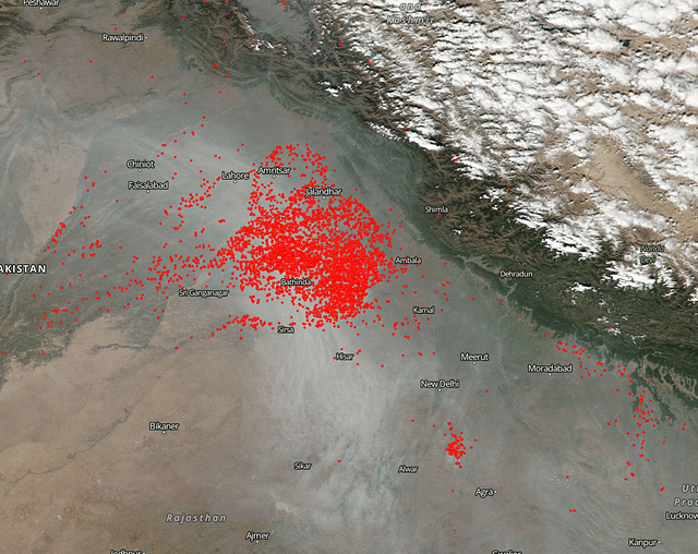 NASA World View showing Thermal Anomalies in Punjab on 1 November 2016