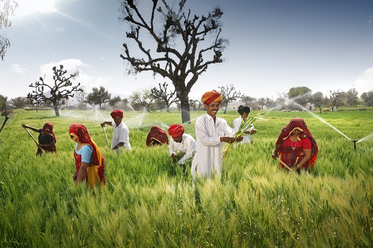 Rajasthani farmers. Photo credit: Ahbinav Rajasthan