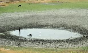 Indian fishermen catch fish in a shrunken pond. (Sanjay Kanojia/AFP/Getty Images)