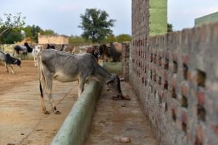 (AFP PHOTO/CHANDAN KHANNA) 