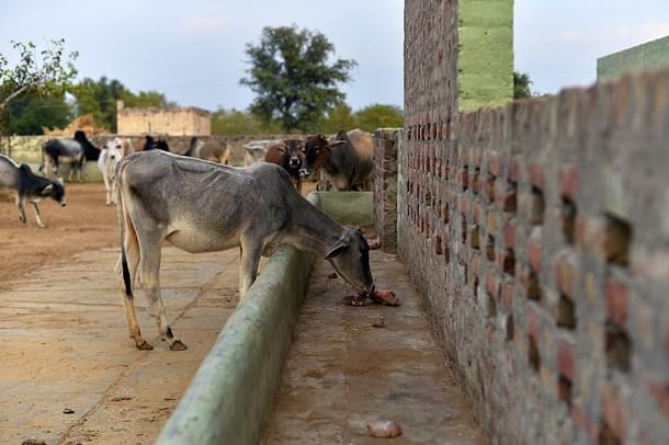 (AFP PHOTO/CHANDAN KHANNA) 