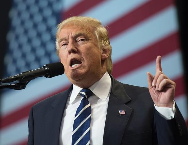 President-elect Donald Trump speaks at the USA Thank You Tour 2016 at the Wisconsin State Fair Exposition Center. (DON EMMERT/AFP/Getty Images)