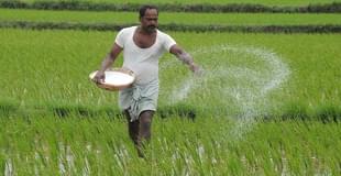 A farmer fertilises his field. (GettyImages)