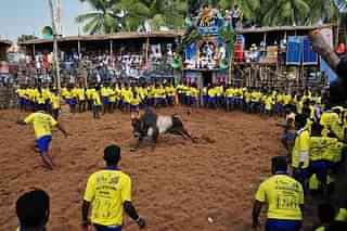 Participants stand and react in a ring during the traditional bull-taming festival called ‘Jallikattu’ in Palamedu near Madurai. (STRDEL/AFP/Getty Images)