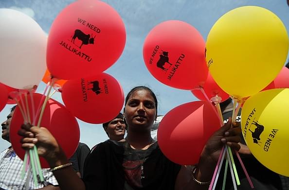 

A protester holds balloons during a demonstration against the ban on Jallikattu in Chennai on 21 January 2017. (ARUN SANKAR/AFP/GettyImages)