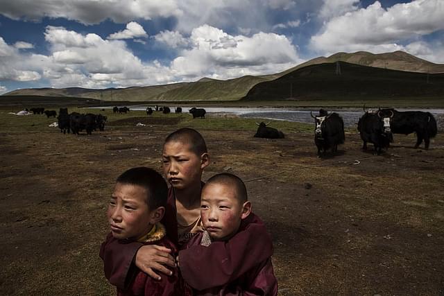 Young Tibetan Buddhist novice monks stand in the grasslands of their nomadic camp on the Tibetan Plateau in Qinghai, China. (Kevin Frayer/Getty Images)