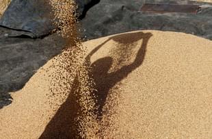 A farmer sorts through their wheat crop in a village on the outskirts of Beawar, about 184km southwest of Jaipur, Rajasthan. (-/AFP/Getty Images)