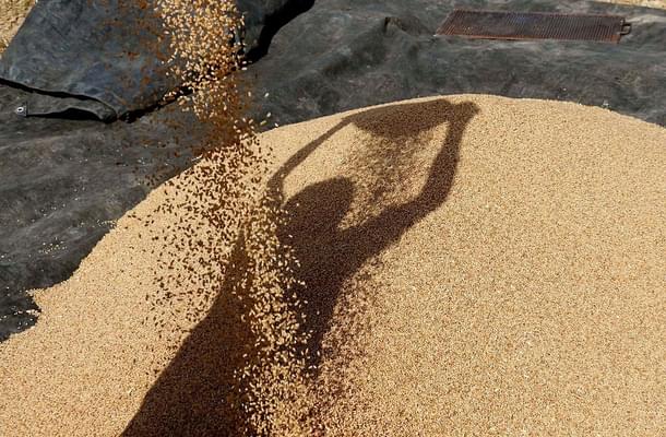 A farmer sorts through their wheat crop in a village on the outskirts of Beawar, about 184km southwest of Jaipur, Rajasthan. (-/AFP/Getty Images)
