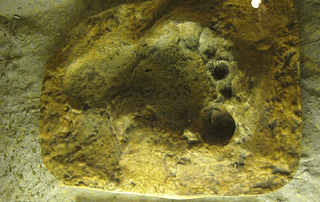 The footprint of a Neanderthal