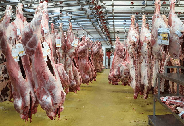 A 
slaughter house.  (ET)