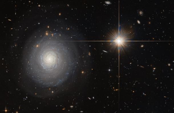 <b>Image credit: ESA/Hubble & NASA and N. Grogin (STScI)</b>