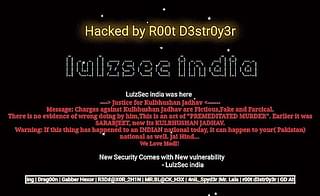 

                  A screen grab of a Pakistan government’s website after being hacked. (DailyMail)
                

