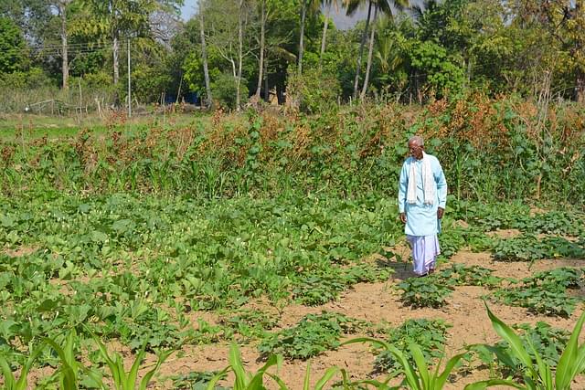 Rati ram Yadav tends to his organic farm at Karli village in Geedam