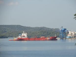 Representative Image. (Rehman Abubakr/Wikimedia Commons)