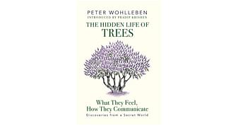 The book Cover of The Hidden Life of Trees: What They Feel, How They Communicate - Discoveries from a Secret World.