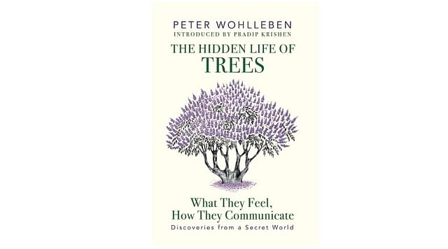 The book Cover of The Hidden Life of Trees: What They Feel, How They Communicate - Discoveries from a Secret World.