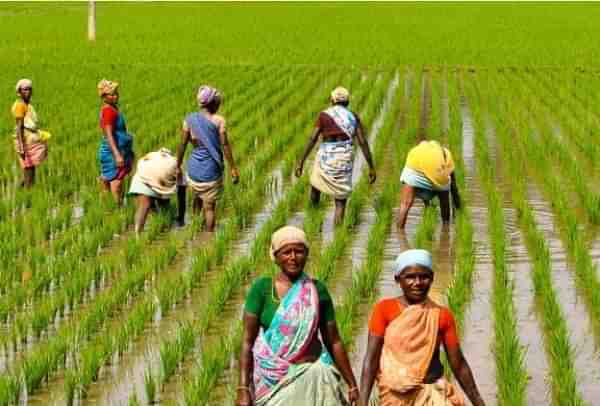 Farming in India