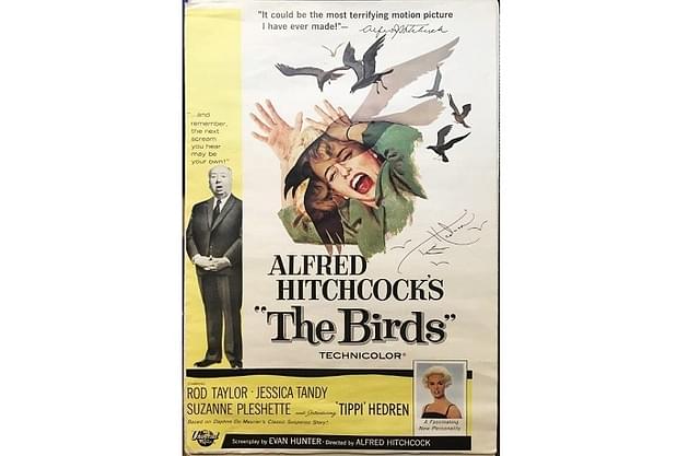 The poster of movie ‘The Birds’.