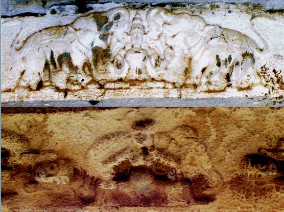 

Two roof based reliefs in the mandapams.