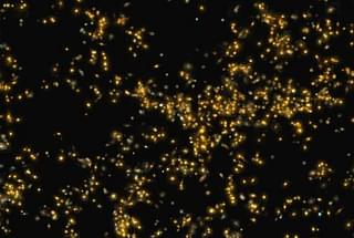 Saraswati supercluster