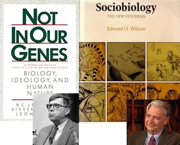 Ideological war on biology: Lewontin (left) attacked sociobiology for political and ideological reasons. Biologist E.O.Wilson (right) was targeted.