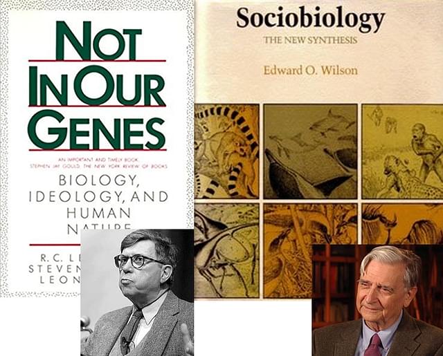  Ideological war on biology: Lewontin (left) attacked sociobiology for political and ideological reasons. Biologist E.O.Wilson (right) was targeted. 