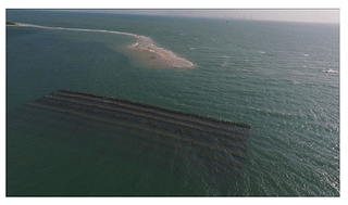 Deployed AR structure in one block in the Gulf of Mannar (Credit: India Science Wire)
