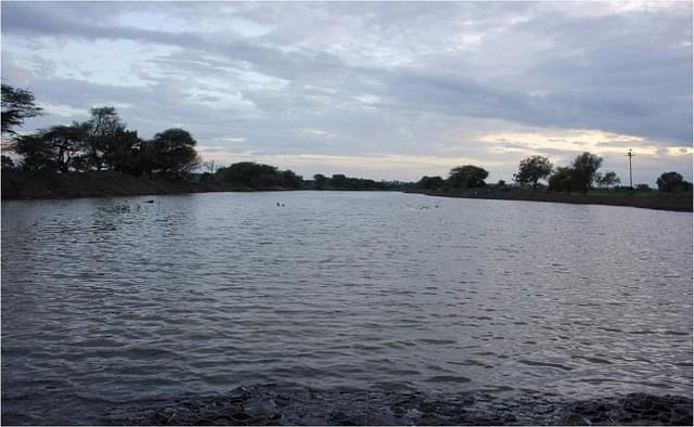 Gharni River, after it was rejuvenated