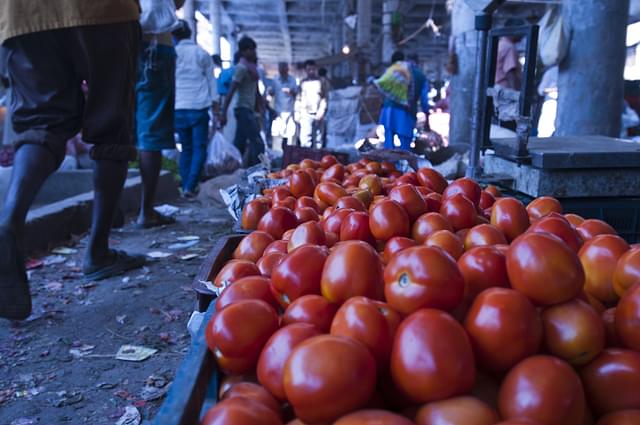 Tomatoes in New Delhi (Sneha Srivastava/Mint via Getty Images)