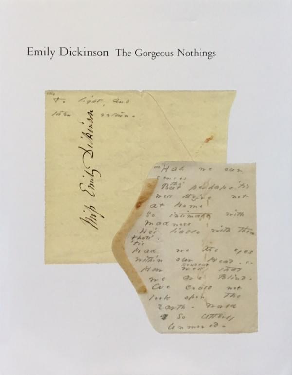 <i>The Gorgeous Nothings</i>