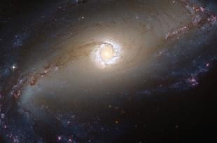 The Hubble Space Telescope captured a spectacular image of the bright star-forming ring that surrounds the heart of the barred spiral galaxy NGC 1097. (NASA/ESA/Hubble)
