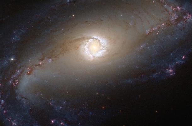 The Hubble Space Telescope captured a spectacular image of the bright star-forming ring that surrounds the heart of the barred spiral galaxy NGC 1097. (NASA/ESA/Hubble)
