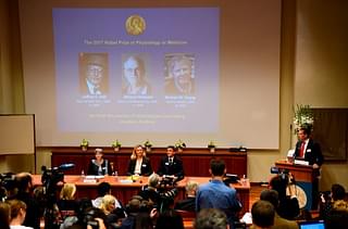 Winners of the 2017 Nobel Prize in physiology or medicine, from left, Jeffrey C Hall, Michael Rosbash and Michael W Young are pictured on a display during a press conference at the Karolinska Institute in Stockholm on 2 October. (JONATHAN NACKSTRAND/AFP/Getty Images)