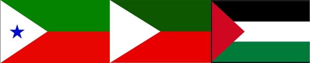 From left, flags of PFI, JKLF (Kashmir) and the Palestine movement.