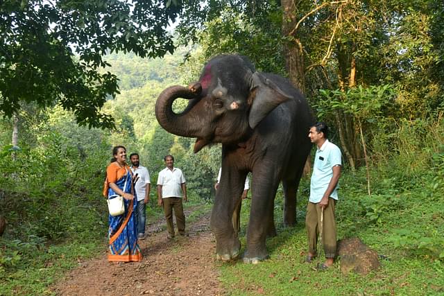 Good bye says Yashaswini as she heads on the last lap of her evening walk (Ram Kumar)