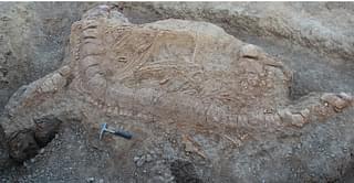 The excavated ichthyosaur fossil in the Katrol Formation near Lodai village, Gujarat. Image Courtesy: PLoS paper, Prasad GVR et al