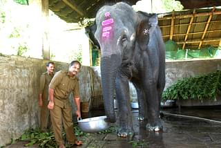 Yashaswini helps mahout Shivakumar carry the vessel with her lunch (Ram Kumar)