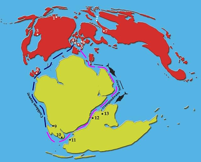 The inferred sea route along which faunal interchanges may have taken place between the western Tethys and the southern Indian Ocean is shown in magenta colour. Number 12 in the map is Madagascar and 13 is India. (Courtesy:  PLoS paper) &nbsp;