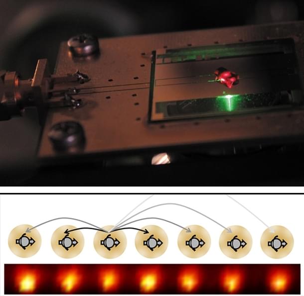 Picture Above: Green light revealing the time-crystal formation in the defective diamond: done by Harvard team (courtesy ‘Nature’) Picture Below: One-dimensional chain of ytterbium ions was turned into a time crystal by physicists at the University of Maryland (courtesy: Berkeley News)
