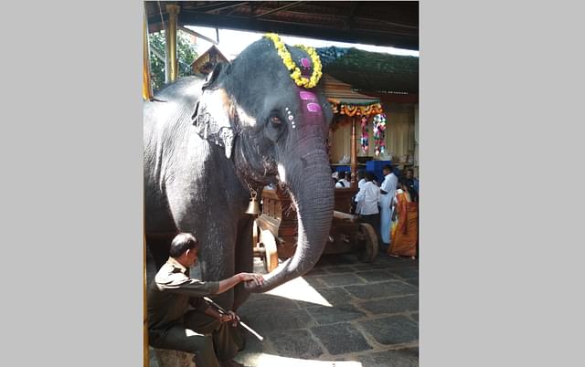 Yashaswini with her mahout Srinivas (Chethan Shetty)