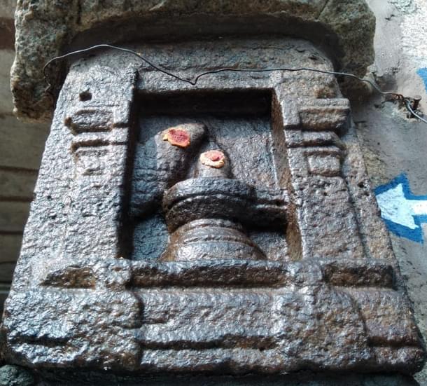 Vishnu incarnated as a fish worshipping Shiva