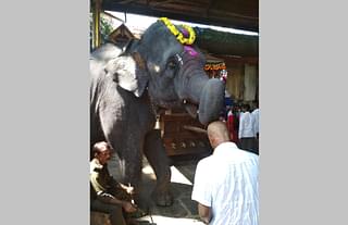 Mahout Srinivas watches as Yashaswini blesses temple visitors (Chethan Shetty)